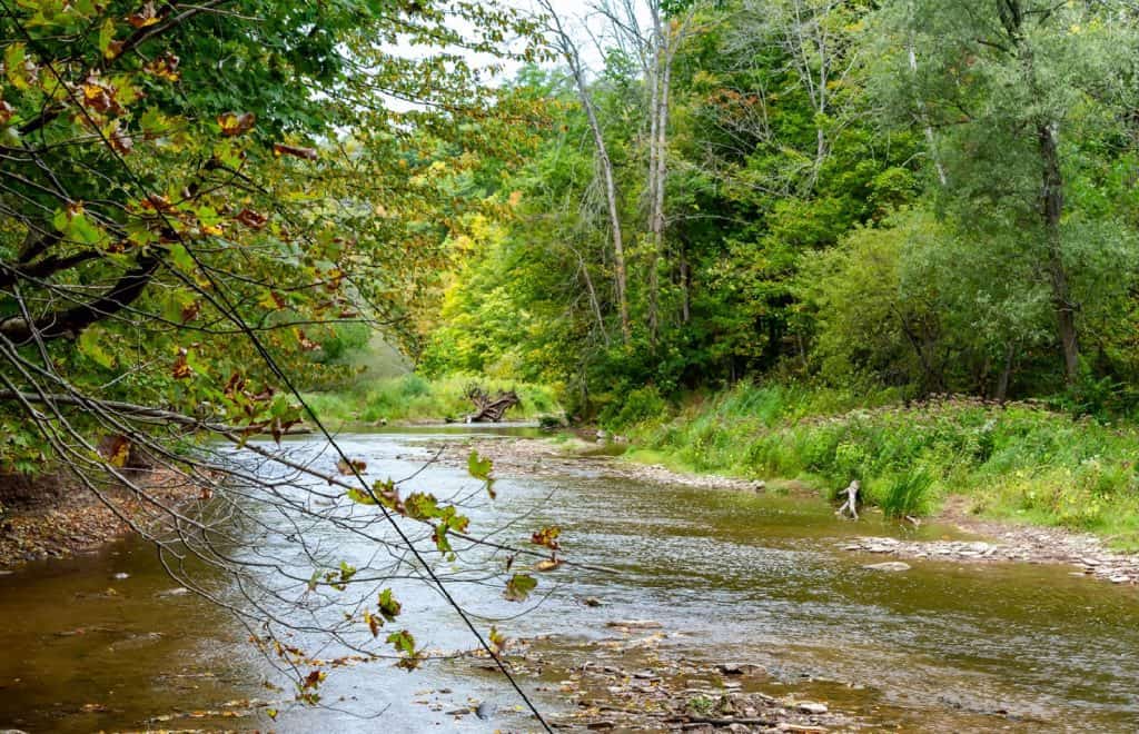 Parque provincial Bronte Creek