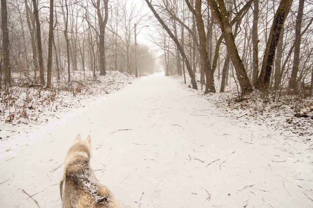 Bruce Trail, Hamilton