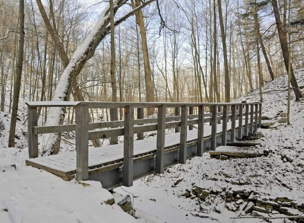 Bruce Trail, Hamilton