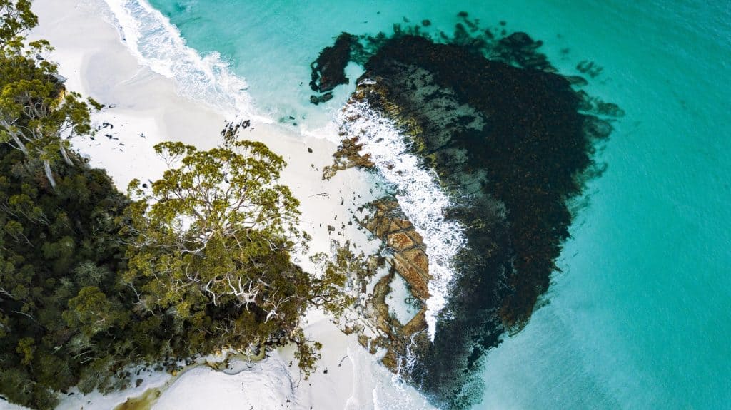 Playa de isla Bruny
