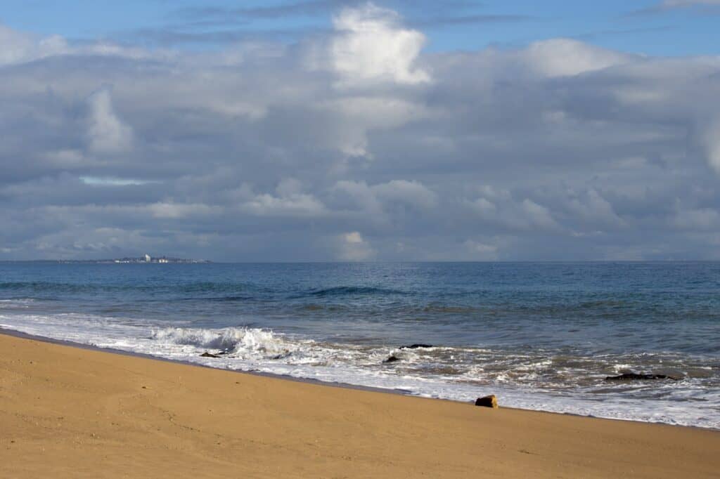 Playa Buffalo