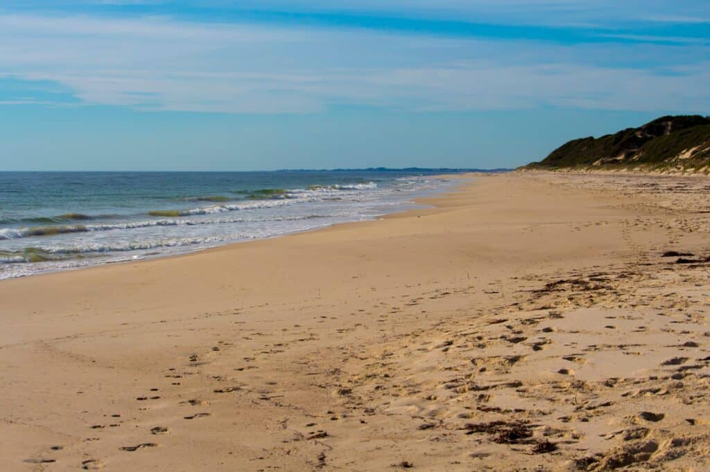 Playa Buffalo