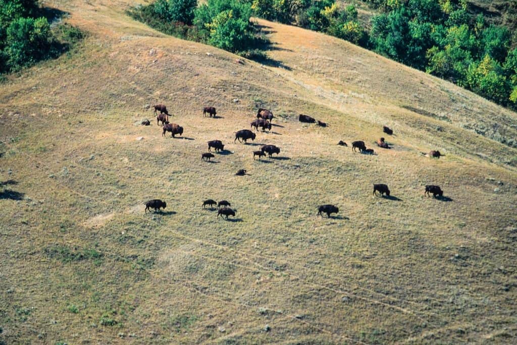 Parque Provincial Buffalo Pound