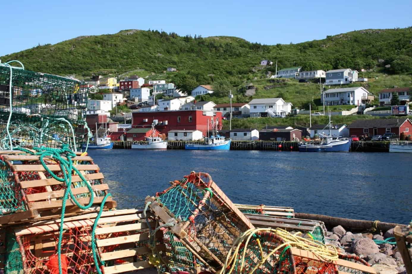 College of the North Atlantic