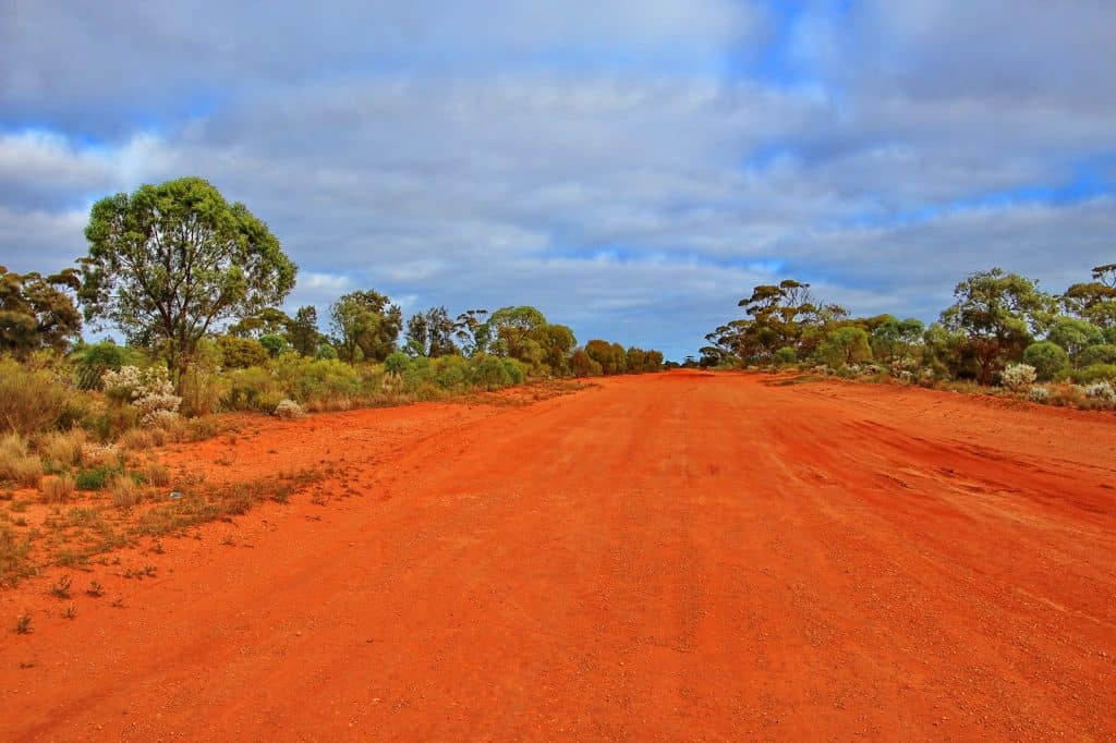 Bushland Park
