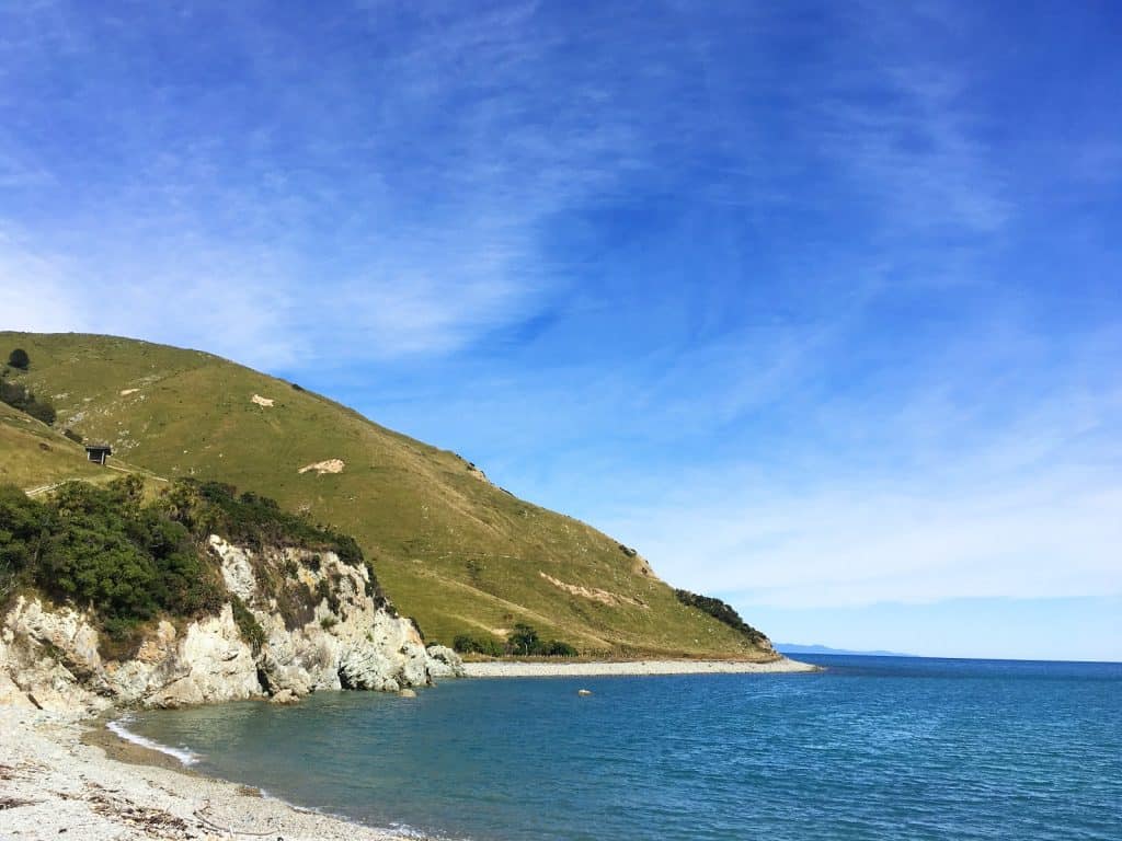 Cable Bay Adventure Park