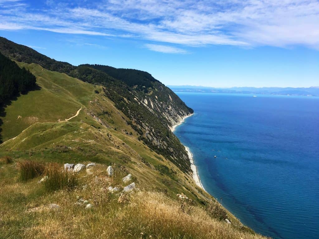 Cable Bay Adventure Park