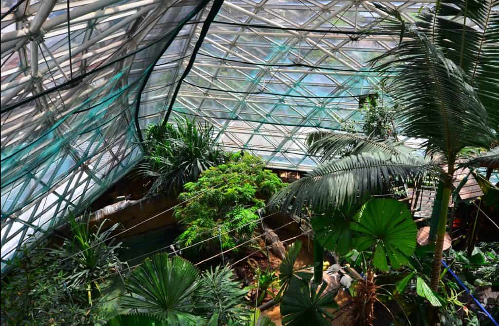Cairns Zoom and Wildlife Dome