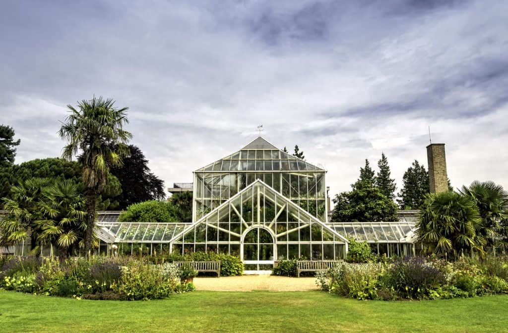 Jardín Botánico de la Universidad de Cambridge