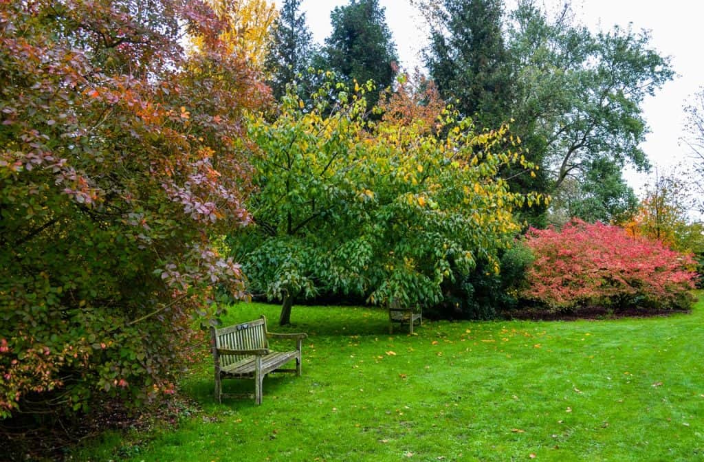 Jardín Botánico de la Universidad de Cambridge