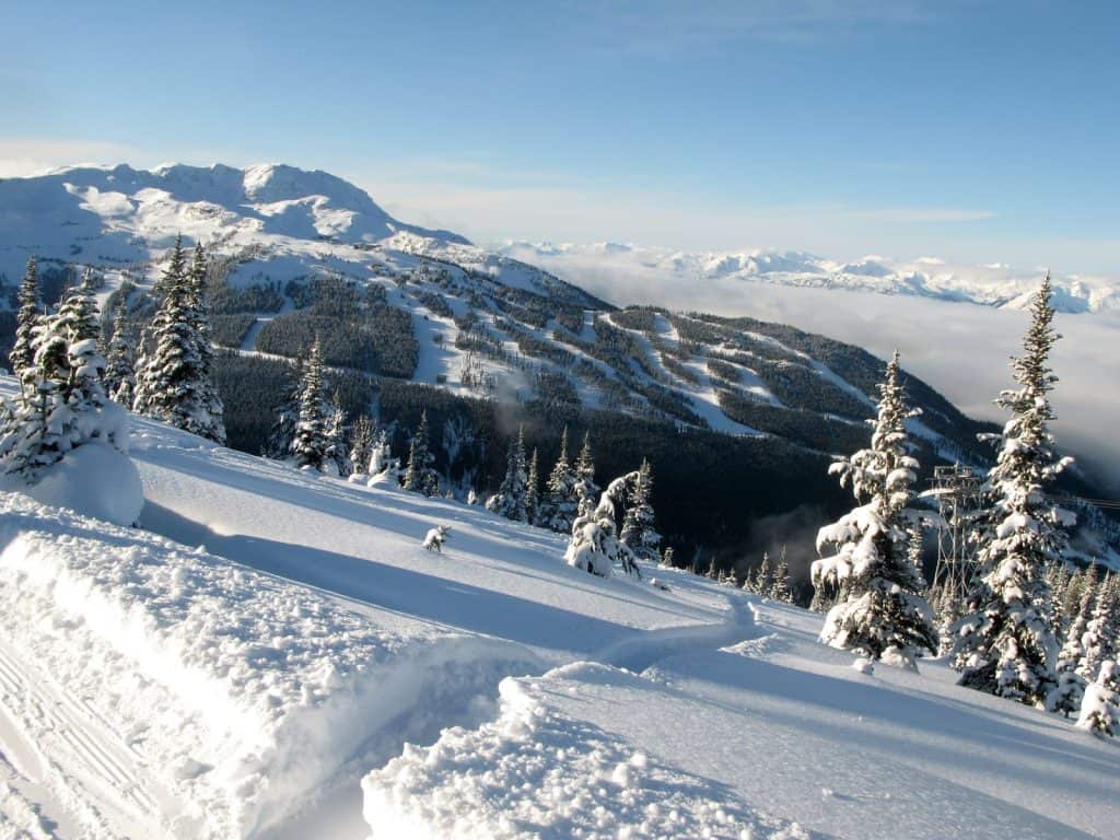 Whistler
