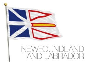 Terranova & Labrador