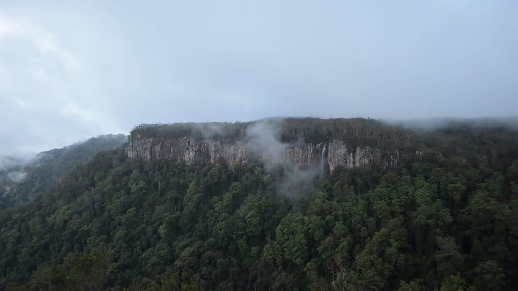 Canyon Lookout