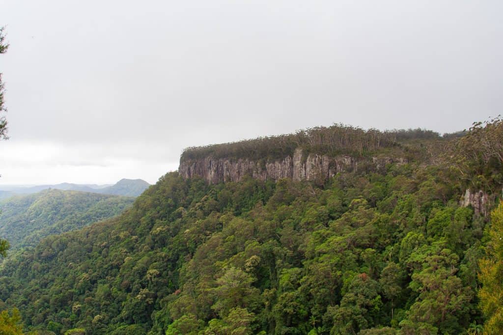 Canyon Lookout