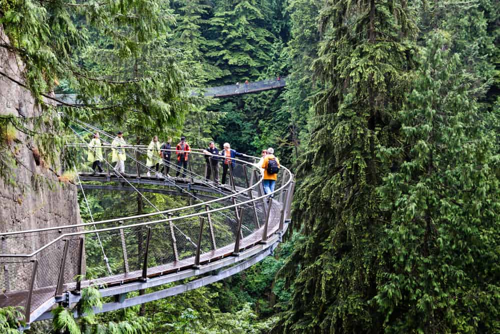Capilano Cliff Walk