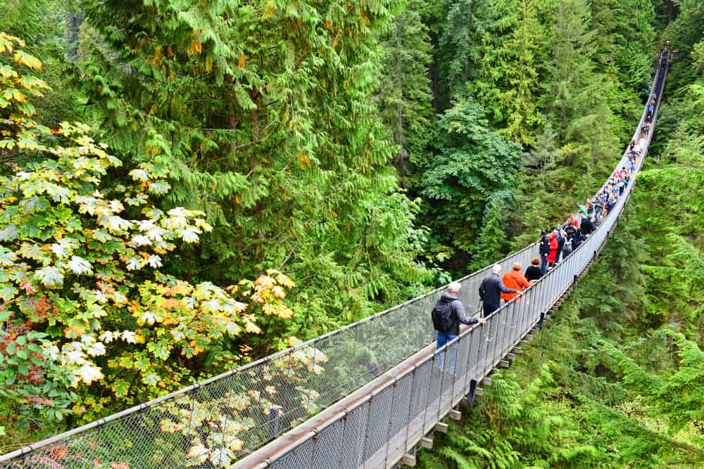 **Capilano puente colgante