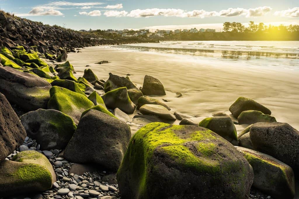 Caroline Bay Beach
