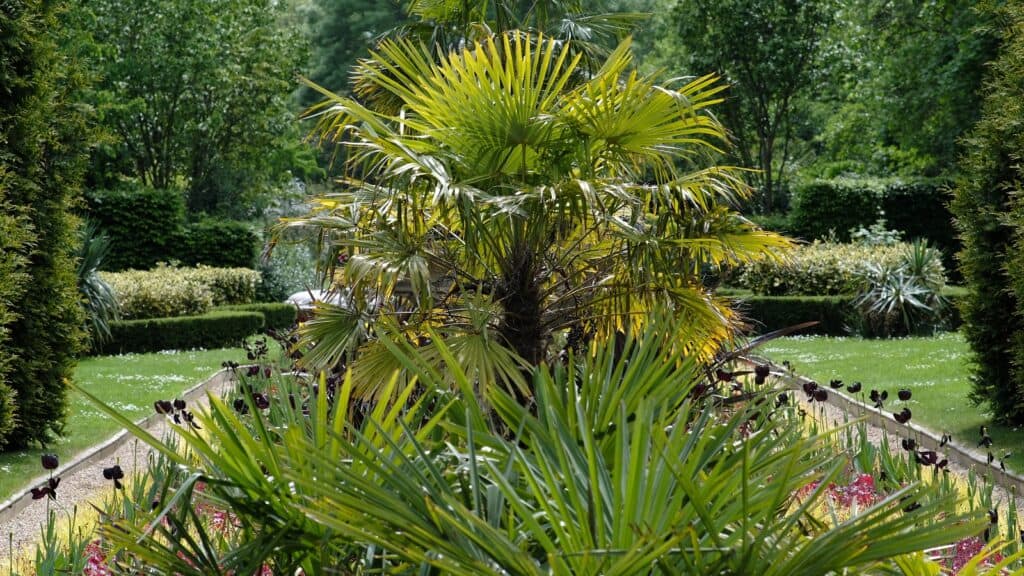 Jardines Carreg Dhu