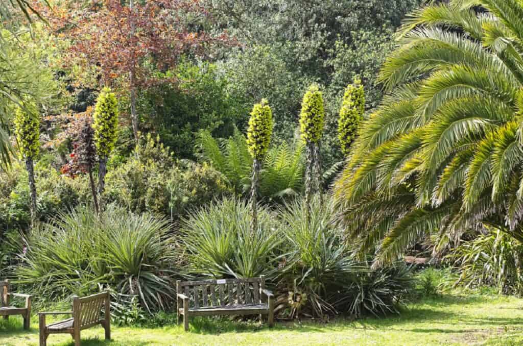 Jardines Carreg Dhu