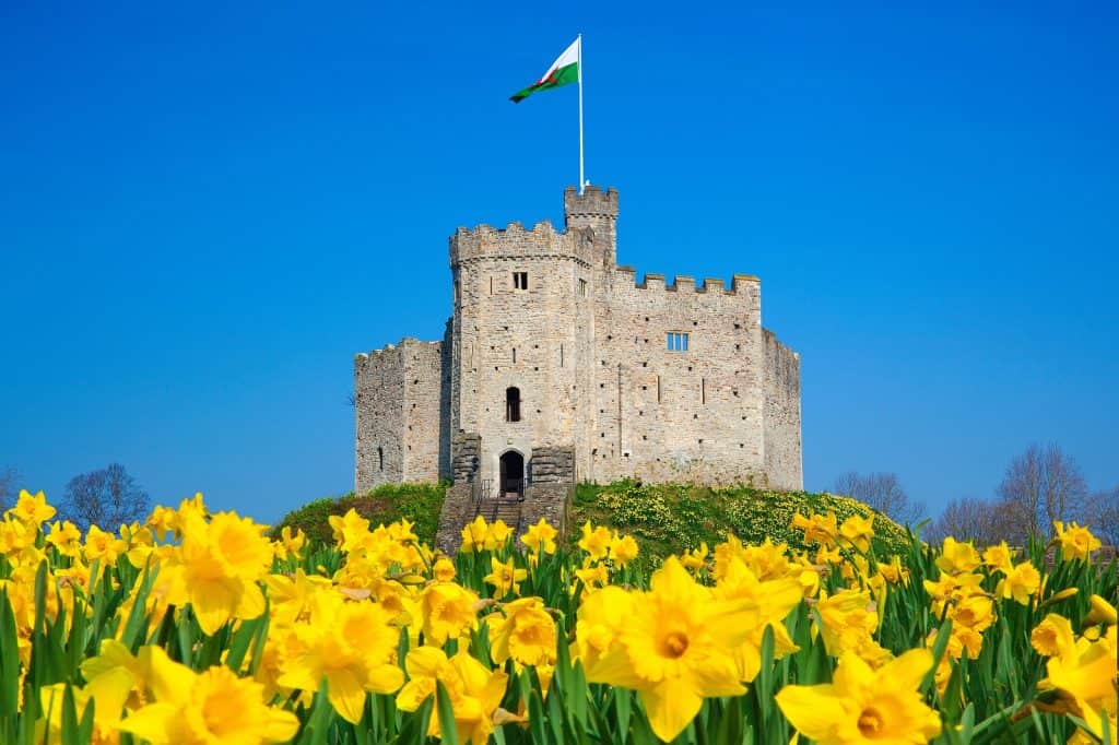 Castillo de Cardiff