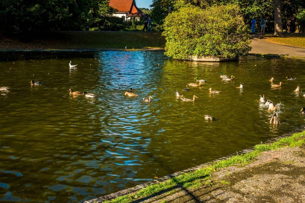 Castle Park