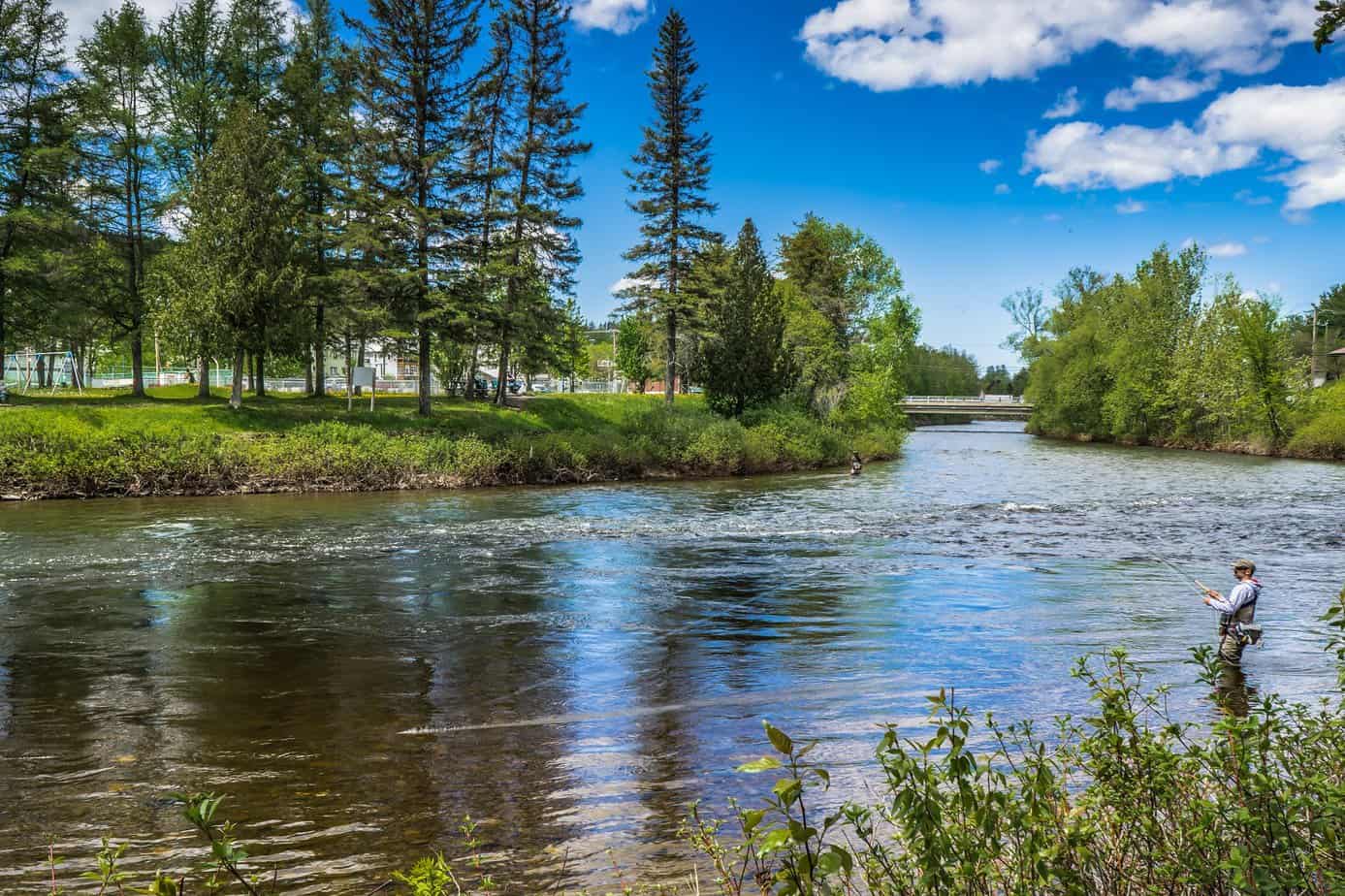 Centre de formation professionnelle en foresterie de l’Est-du-Québec