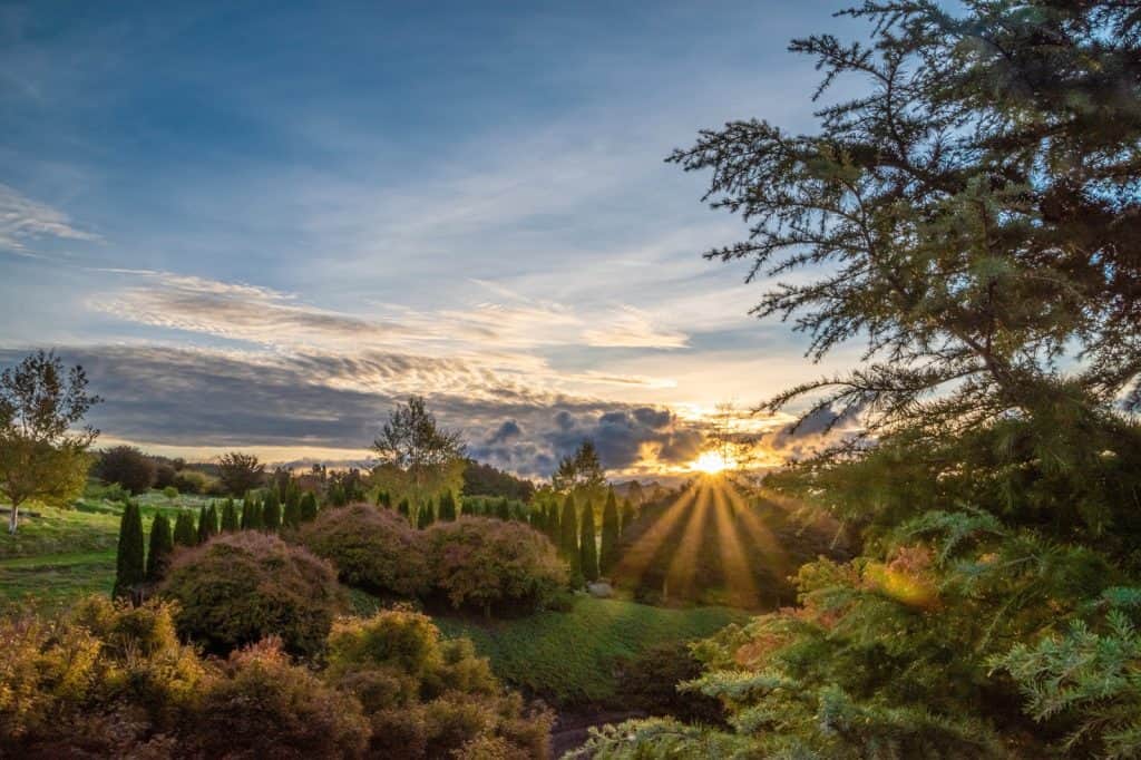 Centennial Park