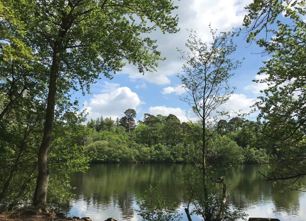 Chandos Park