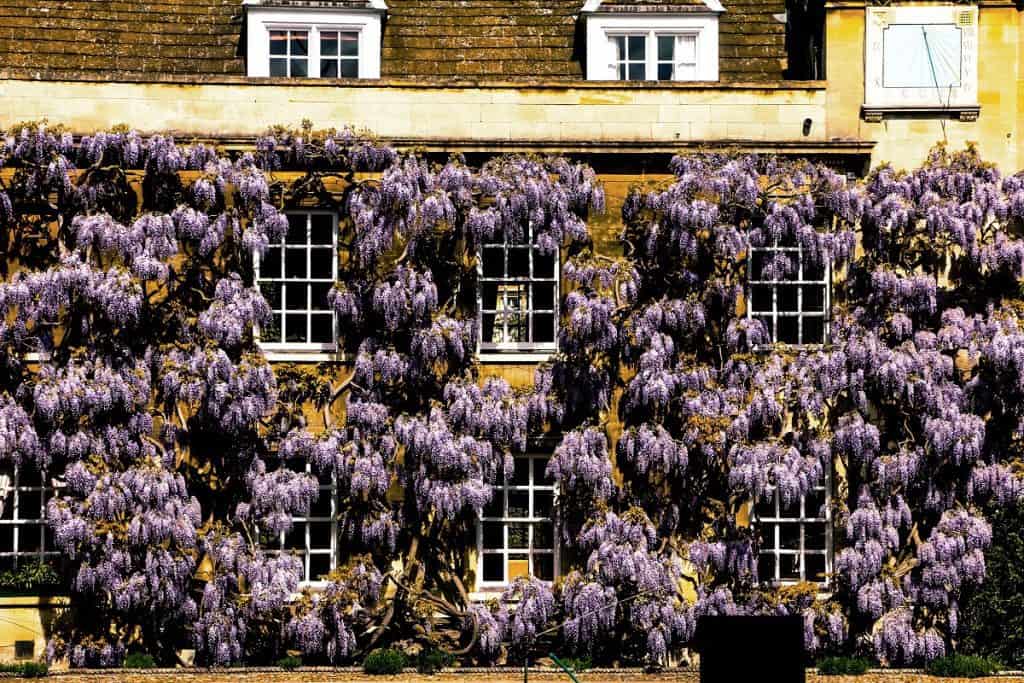 Christ's College, Cambridge