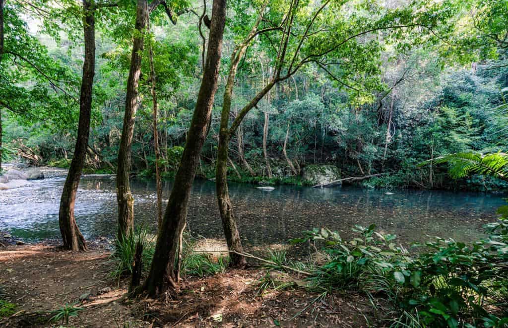 Coffs Creek walk and cycleway