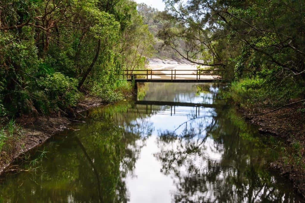 Coffs Creek walk and cycleway