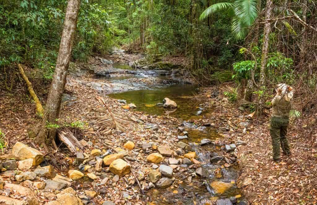 Coffs Creek walk and cycleway