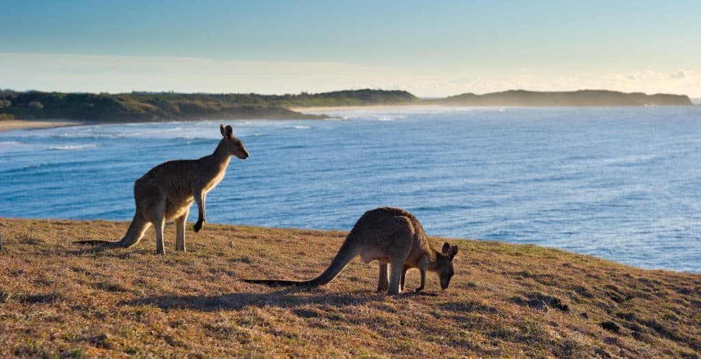 Coffs Harbour