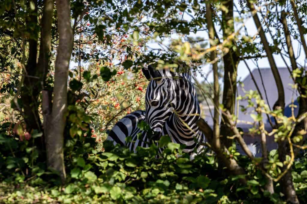 Colchester Zoo