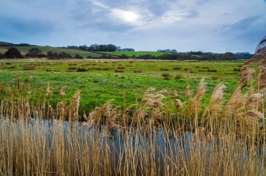 Combe Haven