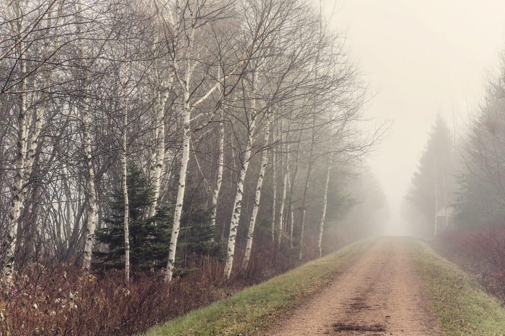 Confederation Trail