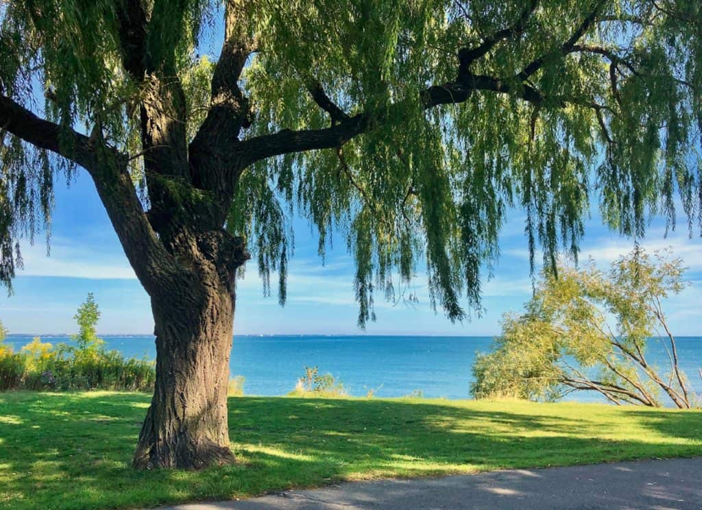 Confederation Trail