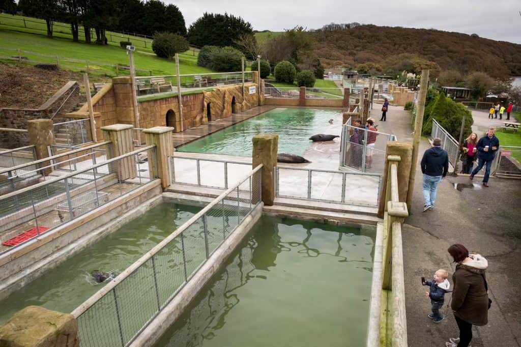 Santuario para Focas de Cornualles