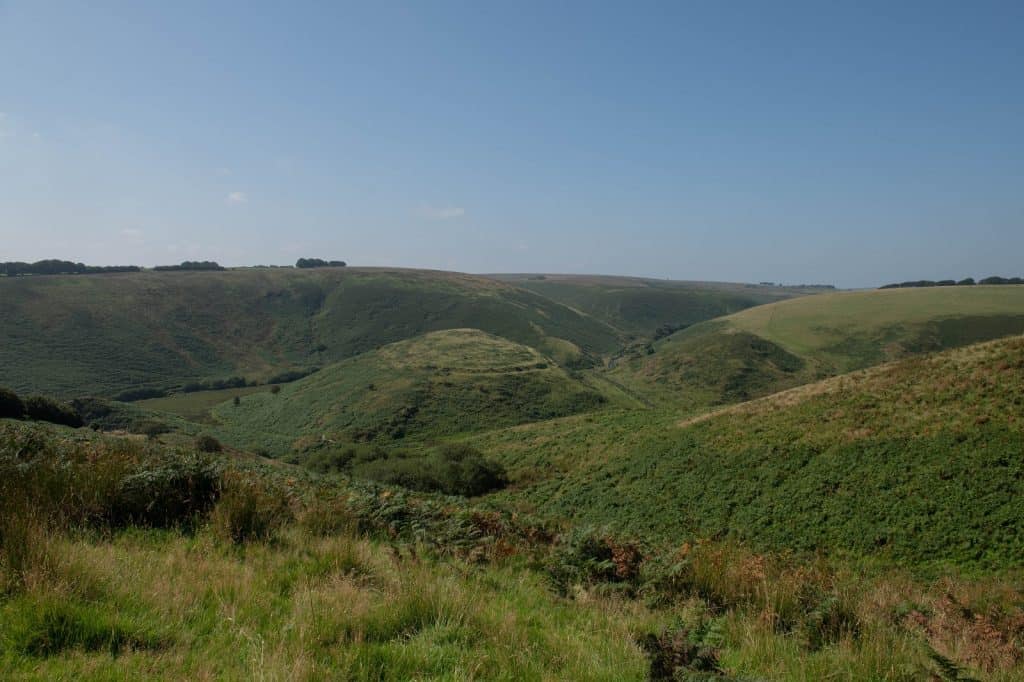 Cow Castle