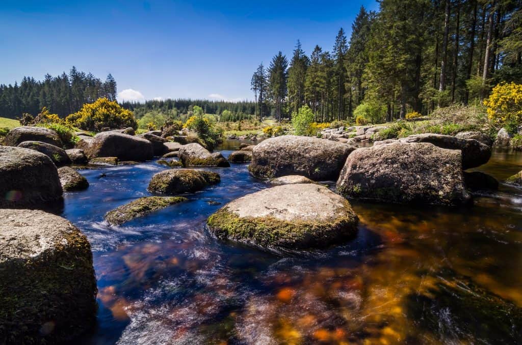 Dartmoor