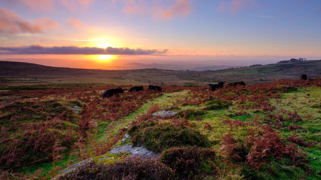 Dartmoor National Park