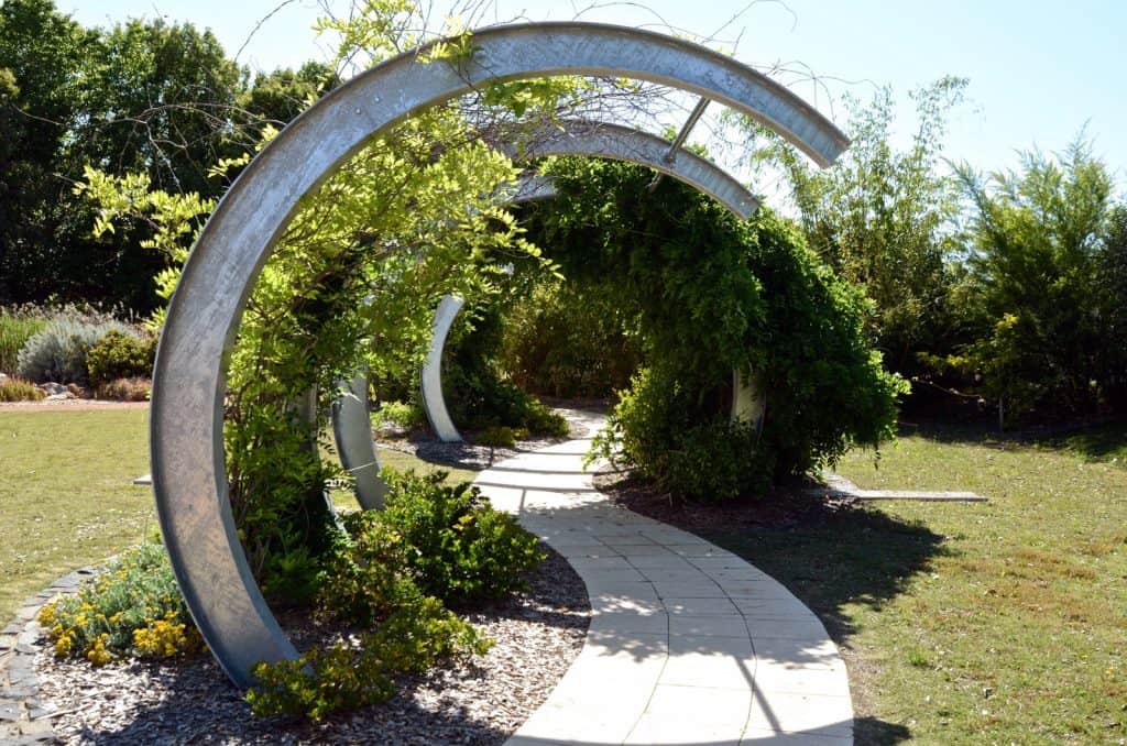 Dubbo