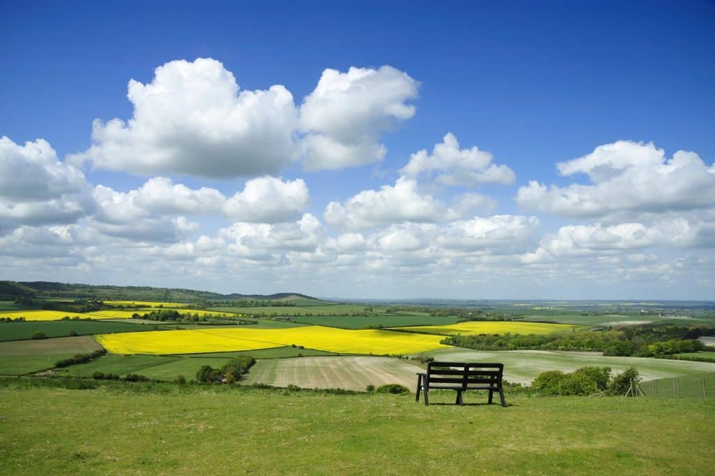 Dunstable Downs