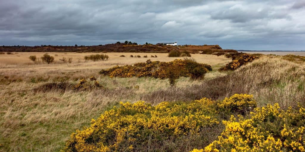 Dunwich Heath and Beach