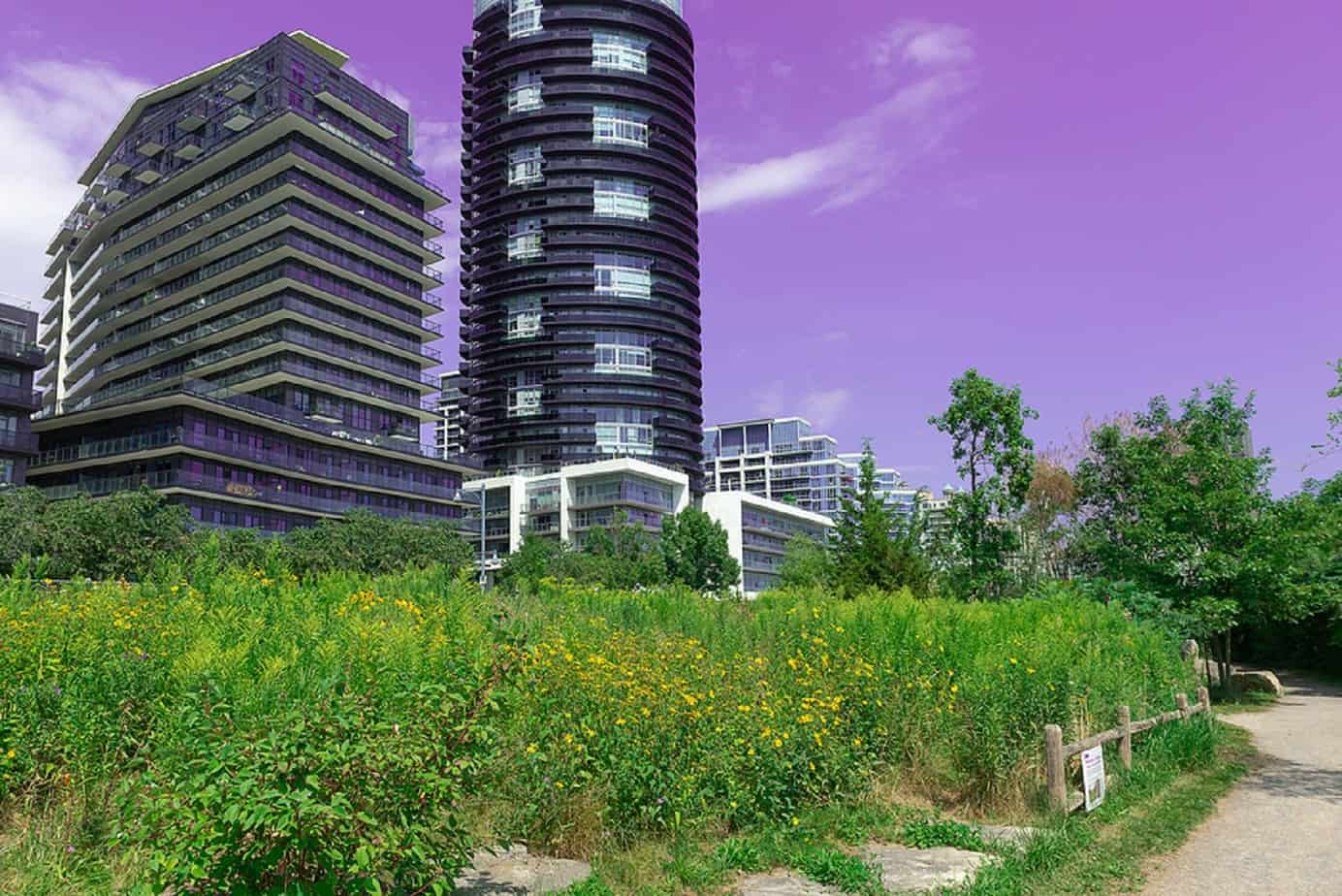 Humber College