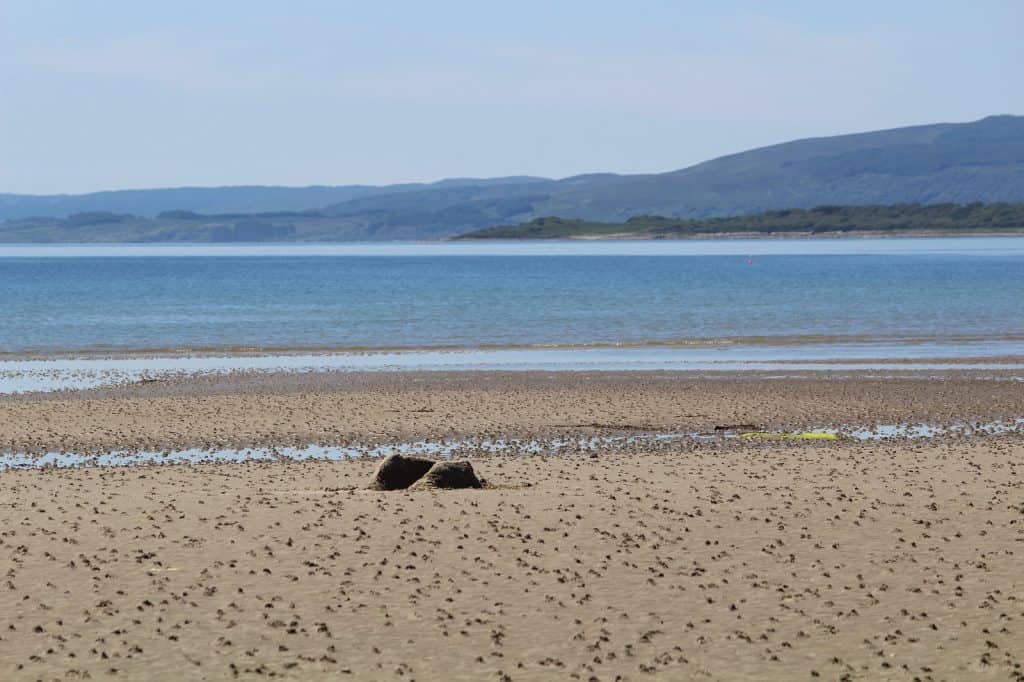 Bahia Ettrick