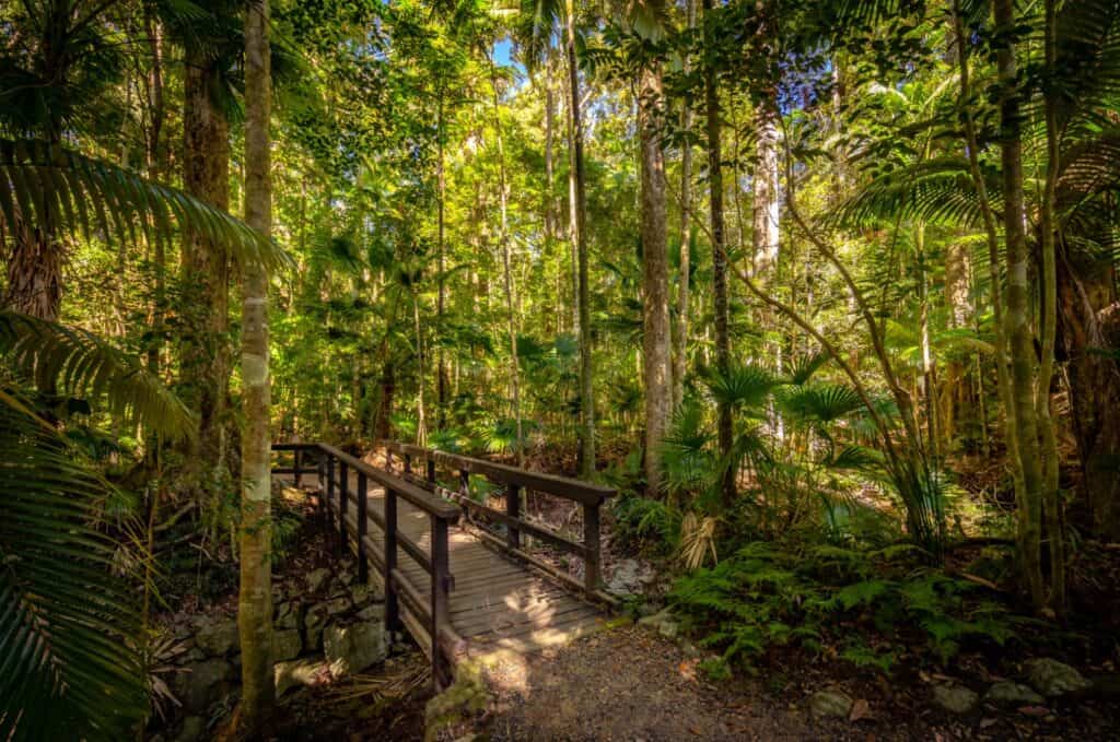 Parque Nacional Eungella