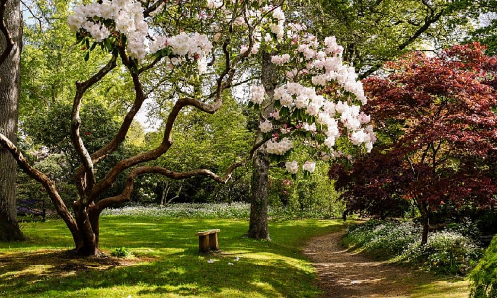 Exbury Gardens