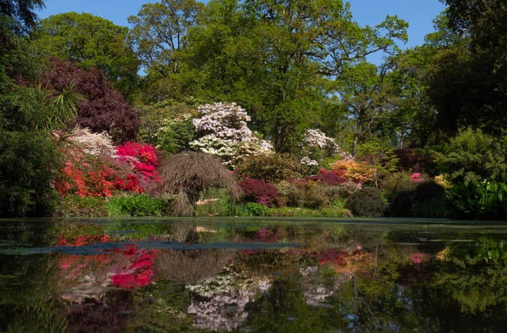 Jardines Exbury