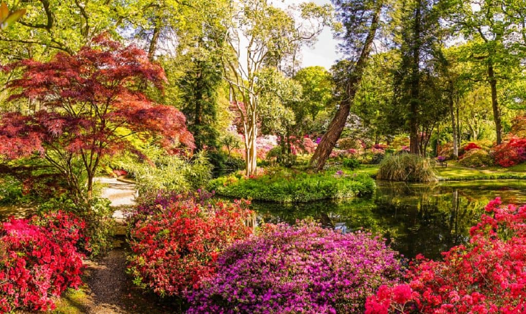Exbury Gardens